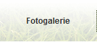 Fotogalerie