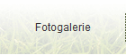 Fotogalerie